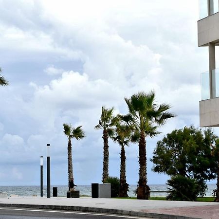 Estudio Gato del mar Torrevieja Esterno foto